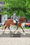 ref. photo 3662097