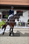 ref. photo 3662129