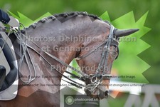 ref. photo 3662140
