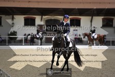 ref. photo 3662196