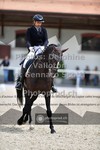 ref. photo 3662211