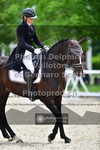ref. photo 3662222