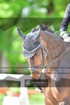 ref. photo 3662237