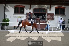 ref. photo 3662279
