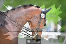 ref. photo 3662333