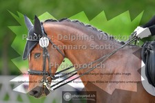 ref. photo 3662334