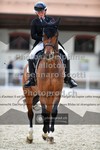 ref. photo 3662339