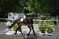 ref. photo 3662417