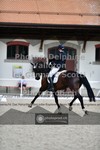 ref. photo 3662443
