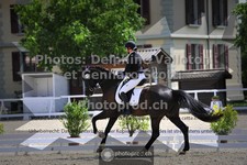ref. photo 3662482
