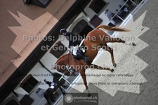 ref. photo 3662559