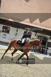 ref. photo 3662560