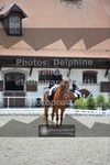 ref. photo 3662561