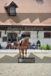 ref. photo 3662573