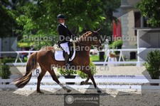 ref. photo 3662618
