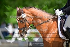 ref. photo 3662638