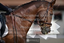 ref. photo 3662696