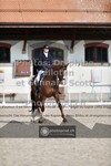 ref. photo 3662699