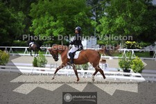 ref. photo 3662716