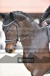 ref. photo 3662747