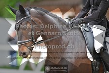 ref. photo 3662749