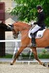 ref. photo 3662809