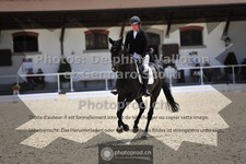 ref. photo 3662852