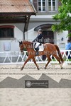 ref. photo 3662913