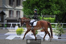 ref. photo 3662933