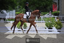 ref. photo 3662941