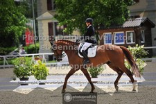 ref. photo 3662944