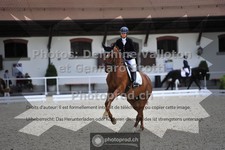 ref. photo 3662947
