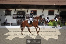 ref. photo 3662948