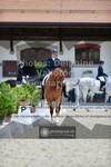 ref. photo 3662962