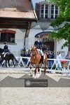 ref. photo 3662978