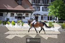 ref. photo 3662992