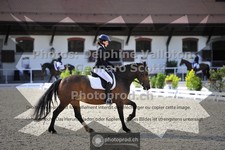 ref. photo 3662993