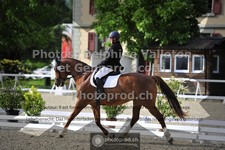 ref. photo 3663012