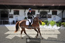 ref. photo 3663022