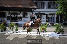 ref. photo 3663024