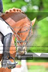 ref. photo 3663029