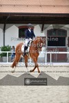 ref. photo 3663032