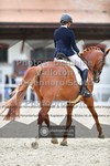 ref. photo 3663033
