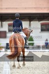ref. photo 3663055