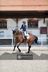 ref. photo 3663079