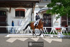 ref. photo 3663096