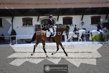 ref. photo 3663110