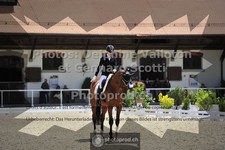 ref. photo 3663113