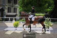 ref. photo 3663115