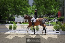 ref. photo 3663117